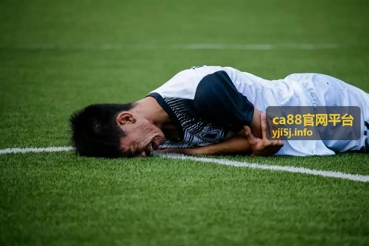 ca88官网平台个人服务查询场景